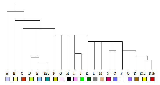 Y-Chromosome Haplogroups