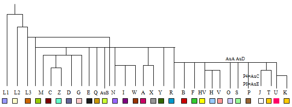 Simplified mtdna tree